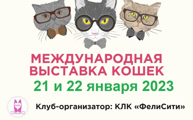 Международная выставка кошек! ВЫСТАВКА-ПРОДАЖА КОТЯТ. 